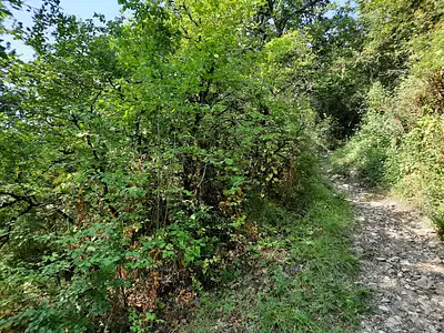 Terrain, 6 602 m²