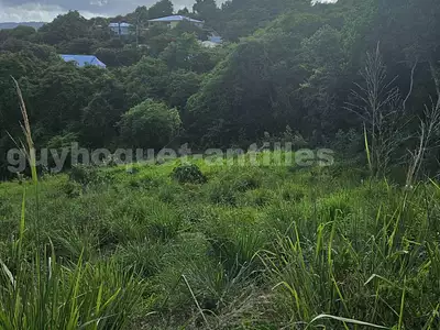 Terrain, 2 924 m²