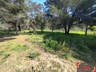 Terrain, 7 855 m²