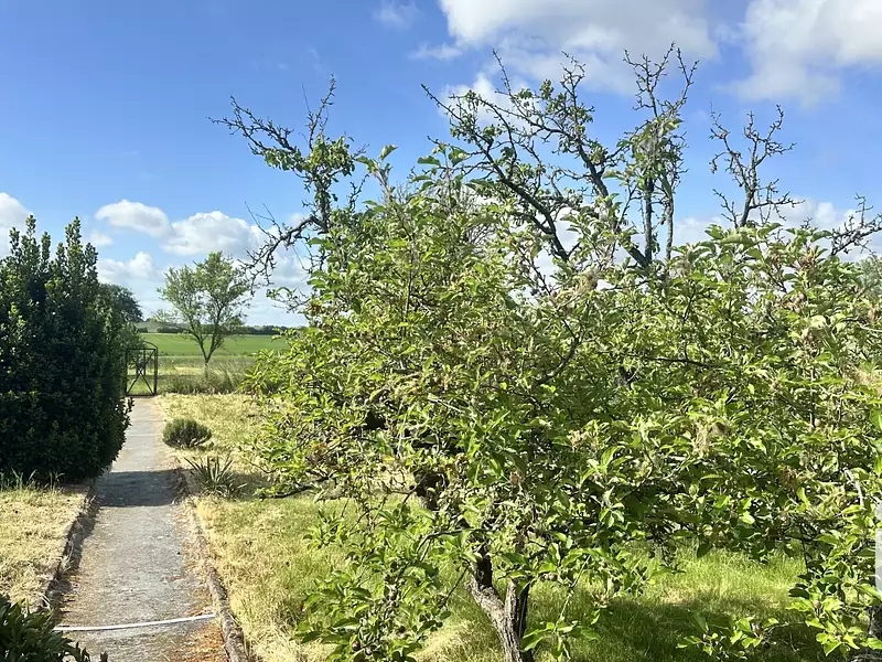 Maison, 137 m²