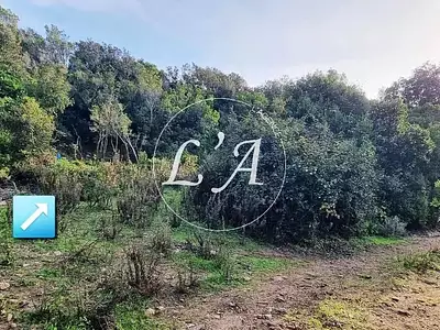 Terrain, 3 508 m²