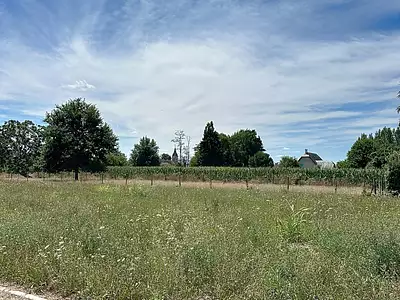 Terrain, 655 m²