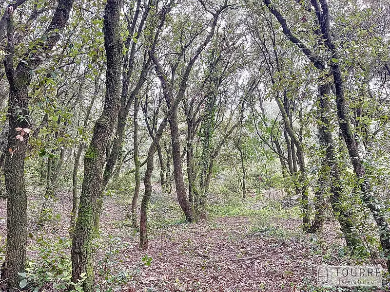 Terrain, 1 330 m²