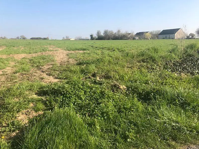 Terrain, 1 946 m²