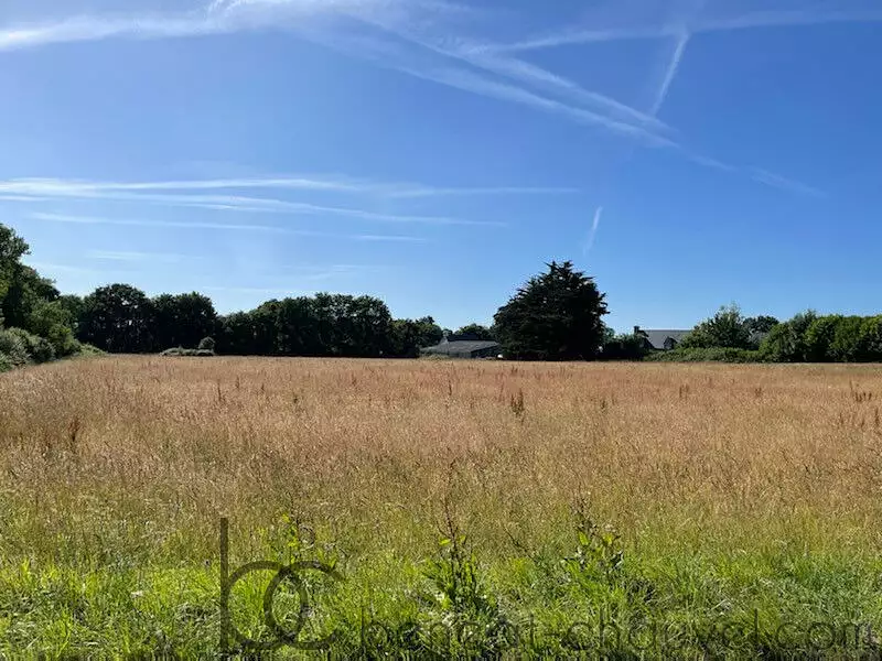 Terrain, 659 m²