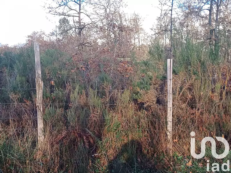 Terrain, 13 000 m²