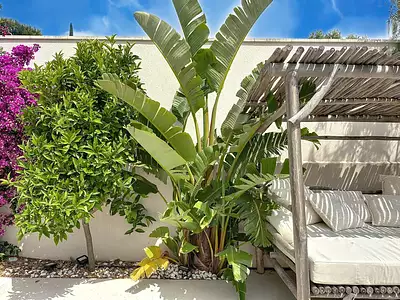 Maison, 160 m²