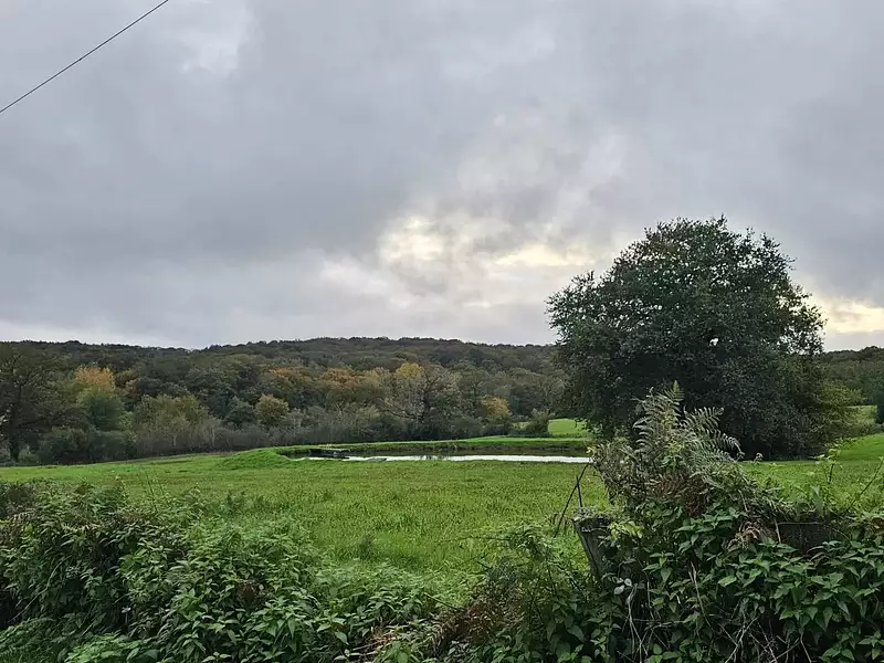 Terrain, 1 000 m²