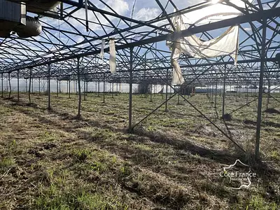 Terrain, 130 000 m²