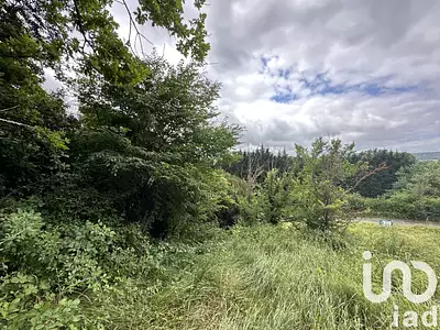 Terrain, 2 677 m²