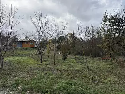 Terrain, 6 020 m²