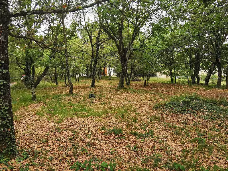 Terrain, 720 m²