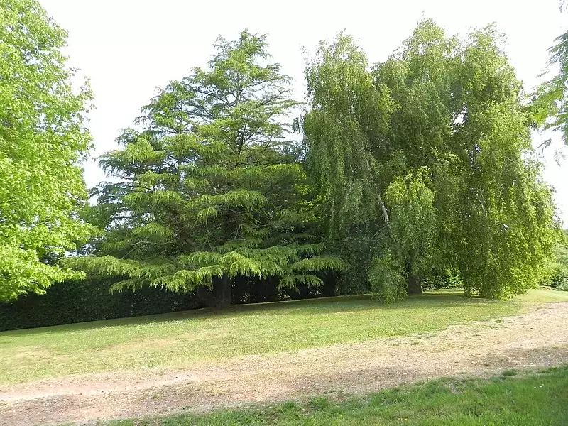 Maison, 110 m²