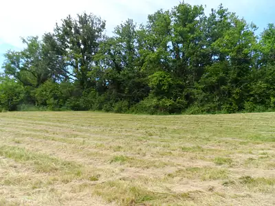 Terrain, 2 500 m²