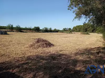 Terrain, 6 209 m²