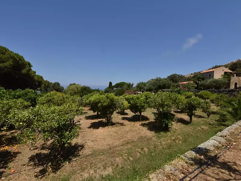 Maison, 235 m²