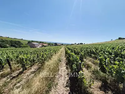 Terrain, 10 600 m²