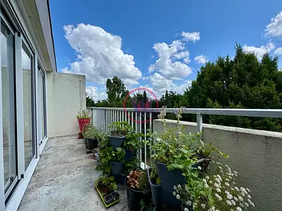 Appartement, 35,5 m²