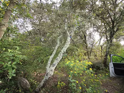 Terrain, 8 914 m²