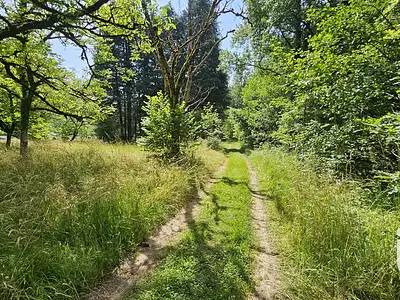 Terrain, 4 087 m²