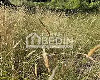 Terrain, 1 016 m²