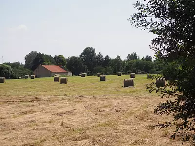 Maison, 500 m²