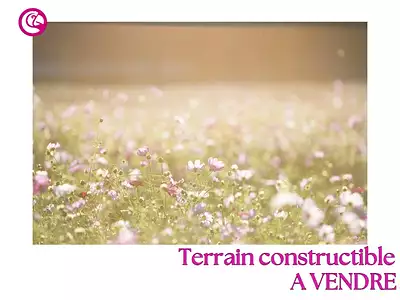 Terrain, 1 401 m²