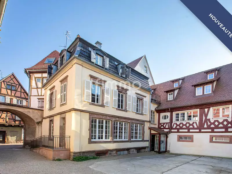 Vente maison 14 pièces 370 m² Colmar (68000) - Superimmo