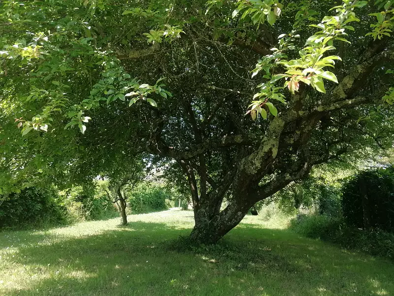 Maison, 95 m²