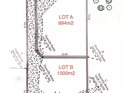 Terrain, 1 000 m²
