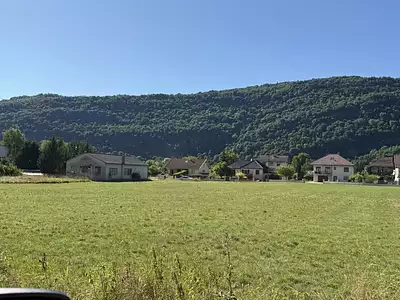 Terrain