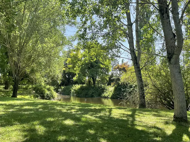 Terrain, 6 900 m²