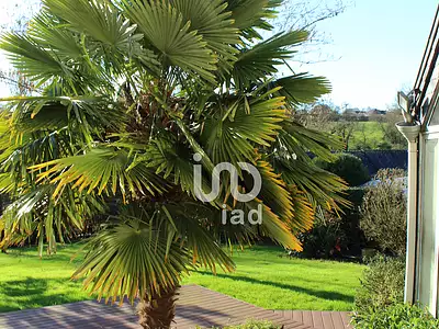 Maison, 225 m²