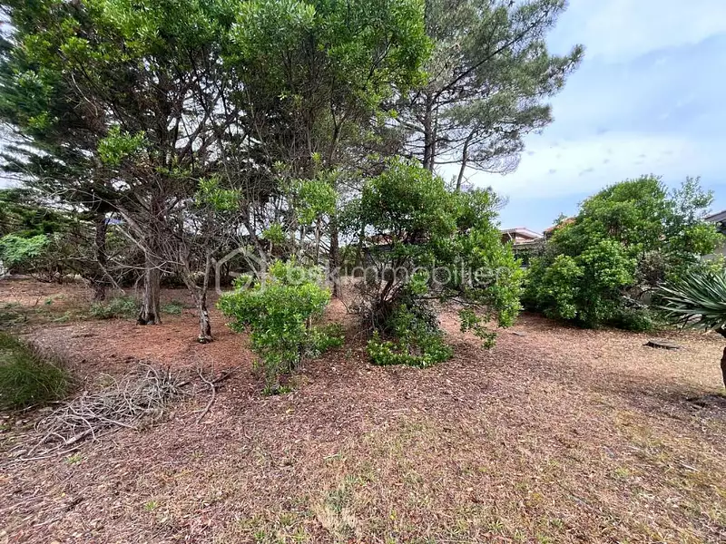 Terrain, 908 m²
