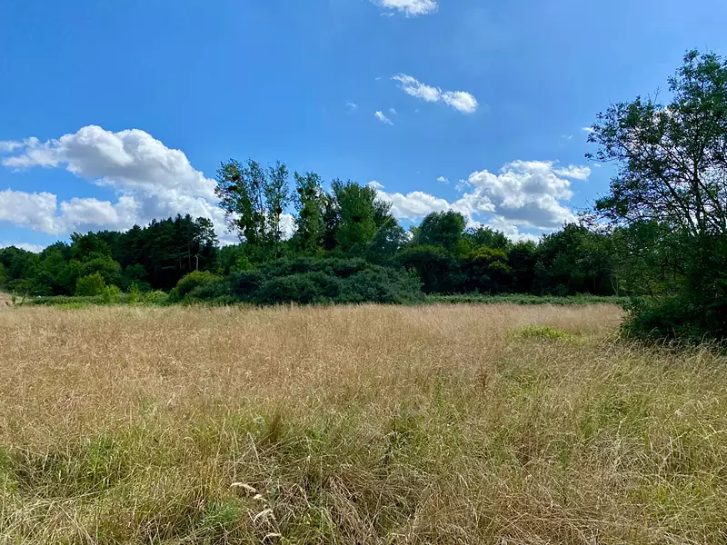 Terrain, 31 937 m²