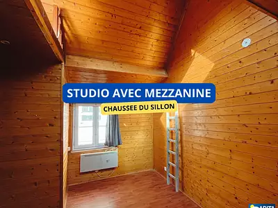 Appartement, 17,16 m²