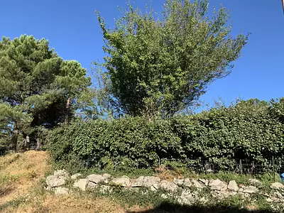 Terrain, 201 m²