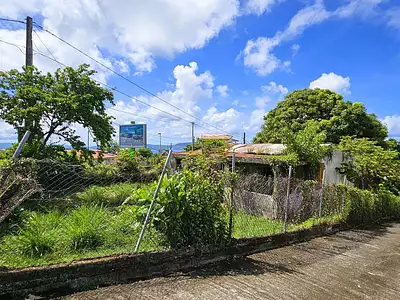 Terrain