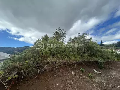 Terrain, 994 m²