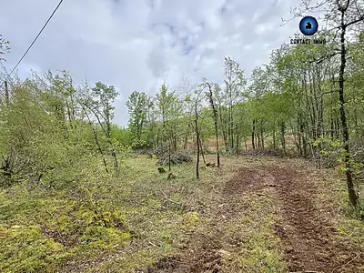 Terrain
