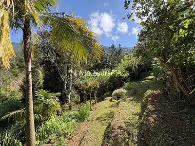 Maison, 51 m²