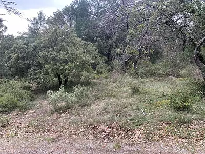 Terrain, 2 400 m²