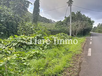 Terrain, 2 300 m²