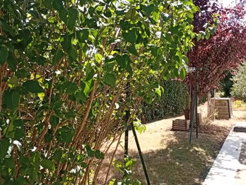 Maison, 113 m²