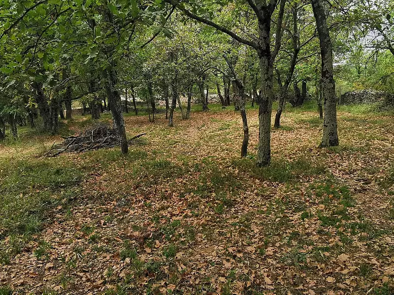 Terrain, 720 m²