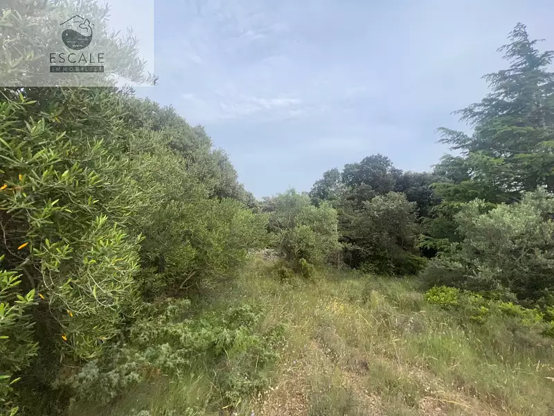 Terrain, 6 091 m²
