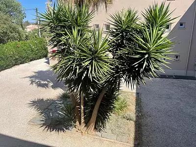 Appartement, 35,07 m²