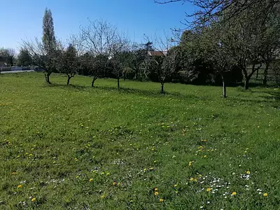 Terrain, 1 174 m²