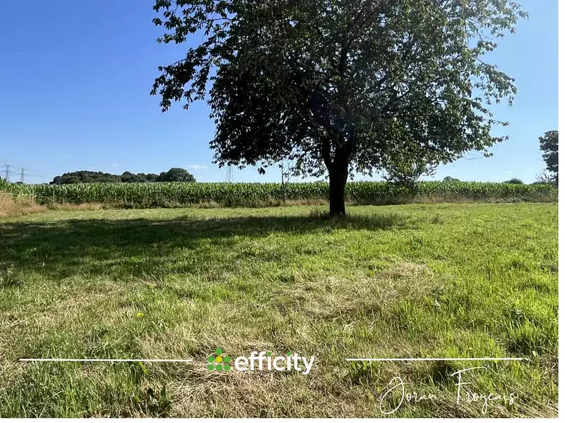 Terrain, 1 545 m²
