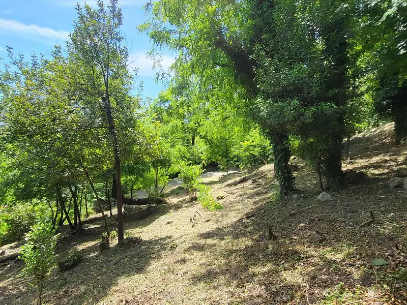Terrain, 1 343 m²